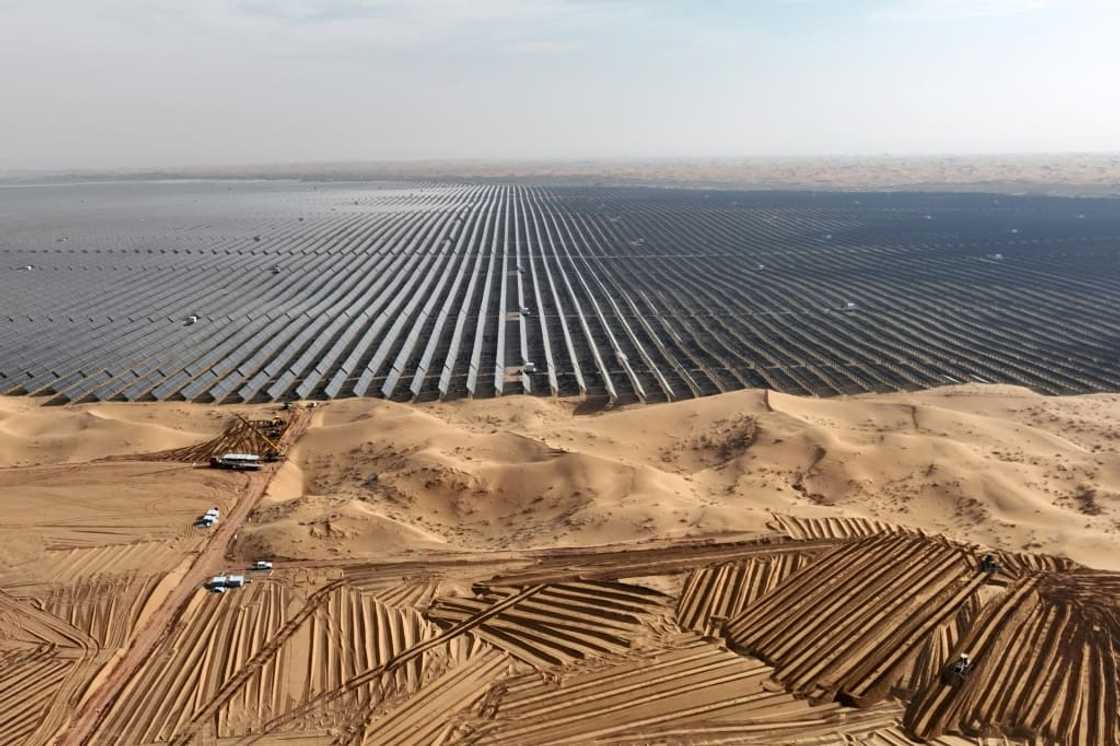 A field of solar panels in China, which the IEA dubs 'the world's renewables powerhouse'