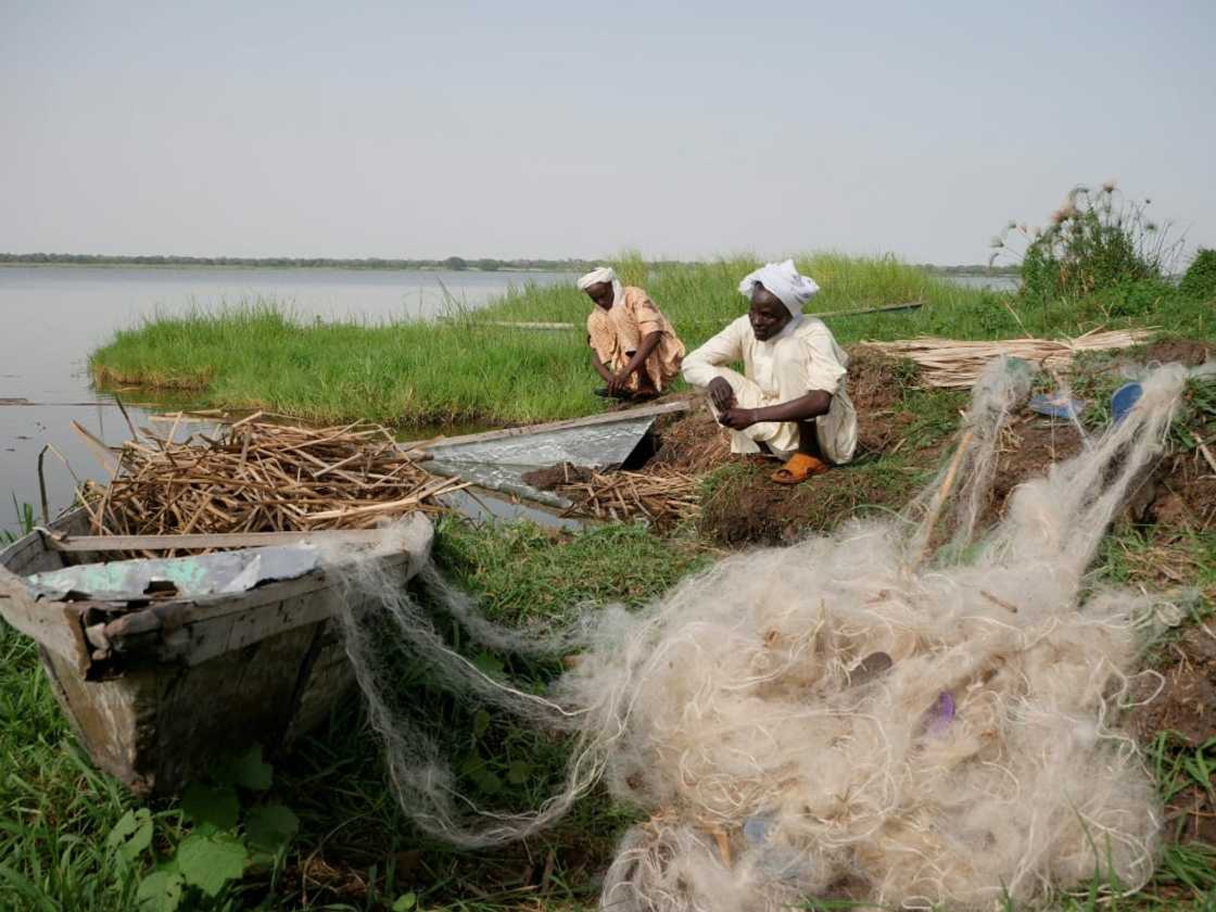 Lake Chad's many islands are home to fishermen as well as jihadist fighters who tax them on their catch