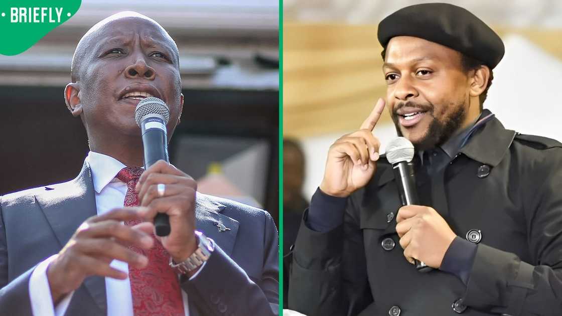 Dr Mbuyiseni Ndlozi has come out in defence of Julius Malema