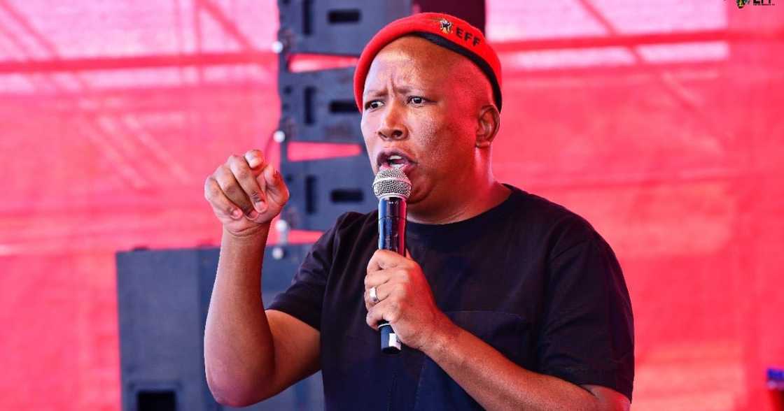 EFF, Julius Malema, Worker's day rally, foreign nationals hate, self-hate EFF, Julius Malema, Worker's day rally, foreign nationals hate, self-hate