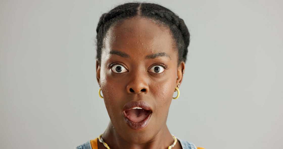 Others said their fear would have made them destroy the couch instead of calling for help Others said their fear would have made them destroy the couch instead of calling for help