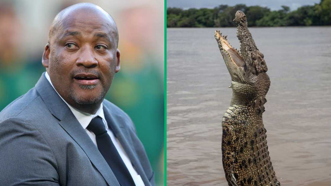 Gayton McKenzie joked that running from crocodiles helped him lose weight. Gayton McKenzie joked that running from crocodiles helped him lose weight.