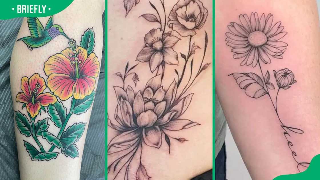 Hibiscus (L), birth flower (C), and aster flower tattoo (R) Hibiscus (L), birth flower (C), and aster flower tattoo (R)