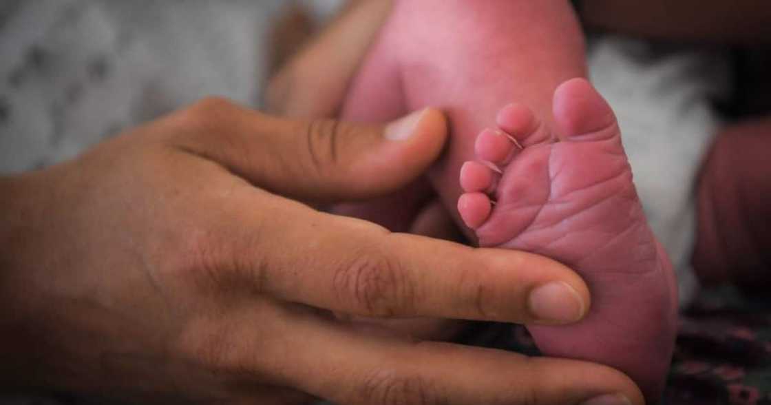 Baby, Succumbed, Brutal, Beating, Father, Bethelsdorp, Gqeberha, Man, Arrested, Gqeberha Magistrate's Court, Murder Baby, Succumbed, Brutal, Beating, Father, Bethelsdorp, Gqeberha, Man, Arrested, Gqeberha Magistrate's Court, Murder