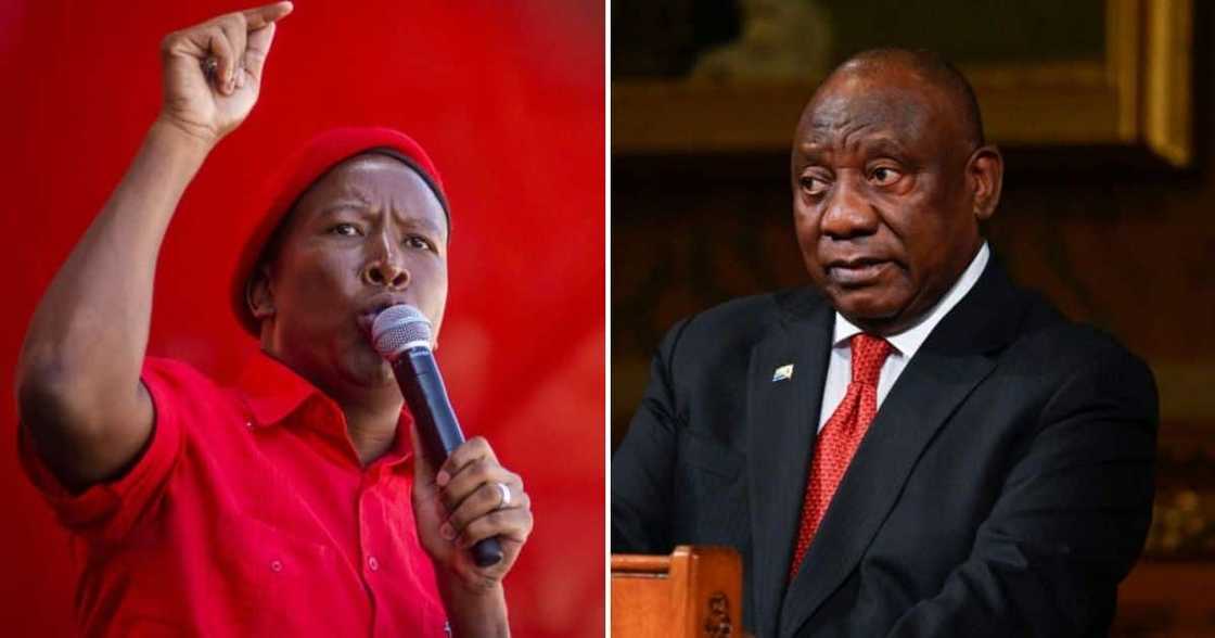 The Julius Malema has vowed to disrupt the Sona despite warnings not to The Julius Malema has vowed to disrupt the Sona despite warnings not to