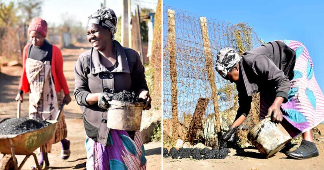 Business, Women Empowerment, Gogo, Coal Making Business, Mzansi Business, Women Empowerment, Gogo, Coal Making Business, Mzansi