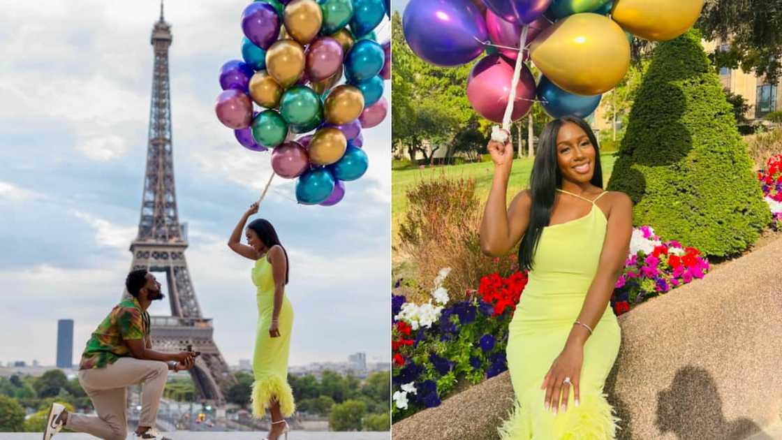 proposal in Paris, France proposal in Paris, France