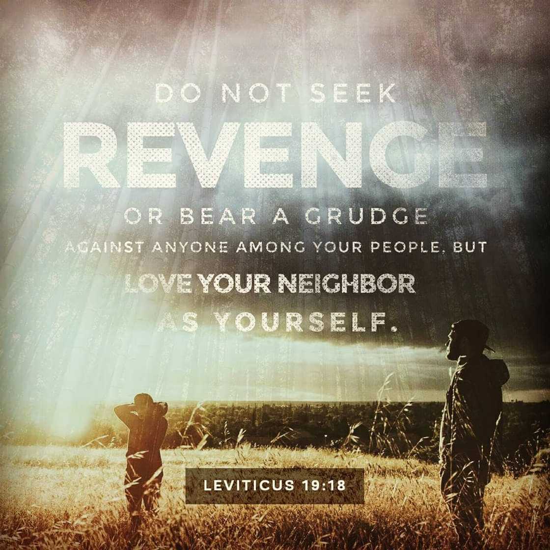 70 of the best bible verses about forgiveness 70 of the best bible verses about forgiveness