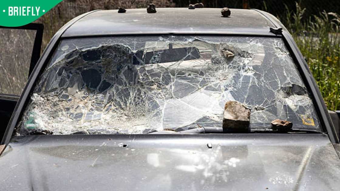 windscreen windscreen
