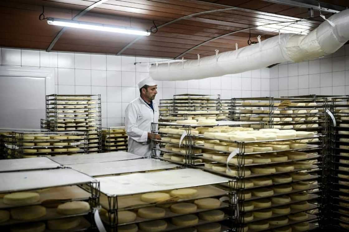 'It's going to be hard to make up for what we've already lost,' says Felix Gallet at the reblochon cooperative in Thones 'It's going to be hard to make up for what we've already lost,' says Felix Gallet at the reblochon cooperative in Thones