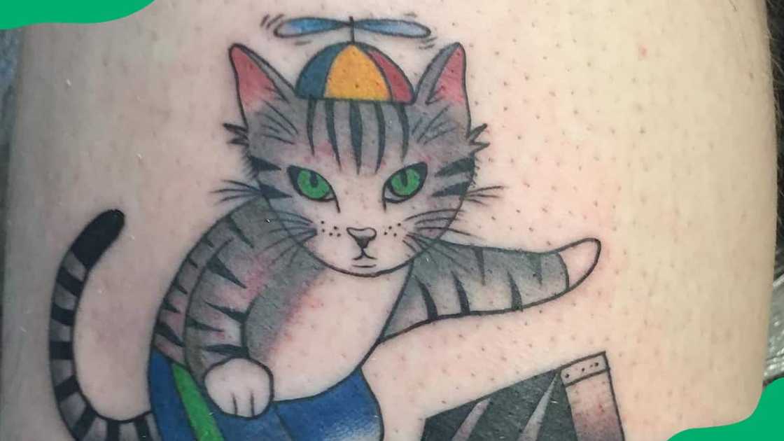 Surfing cat on the sleeve Surfing cat on the sleeve