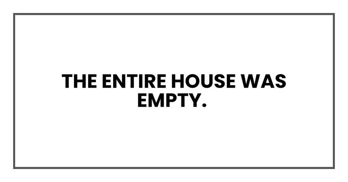The entire house was empty The entire house was empty