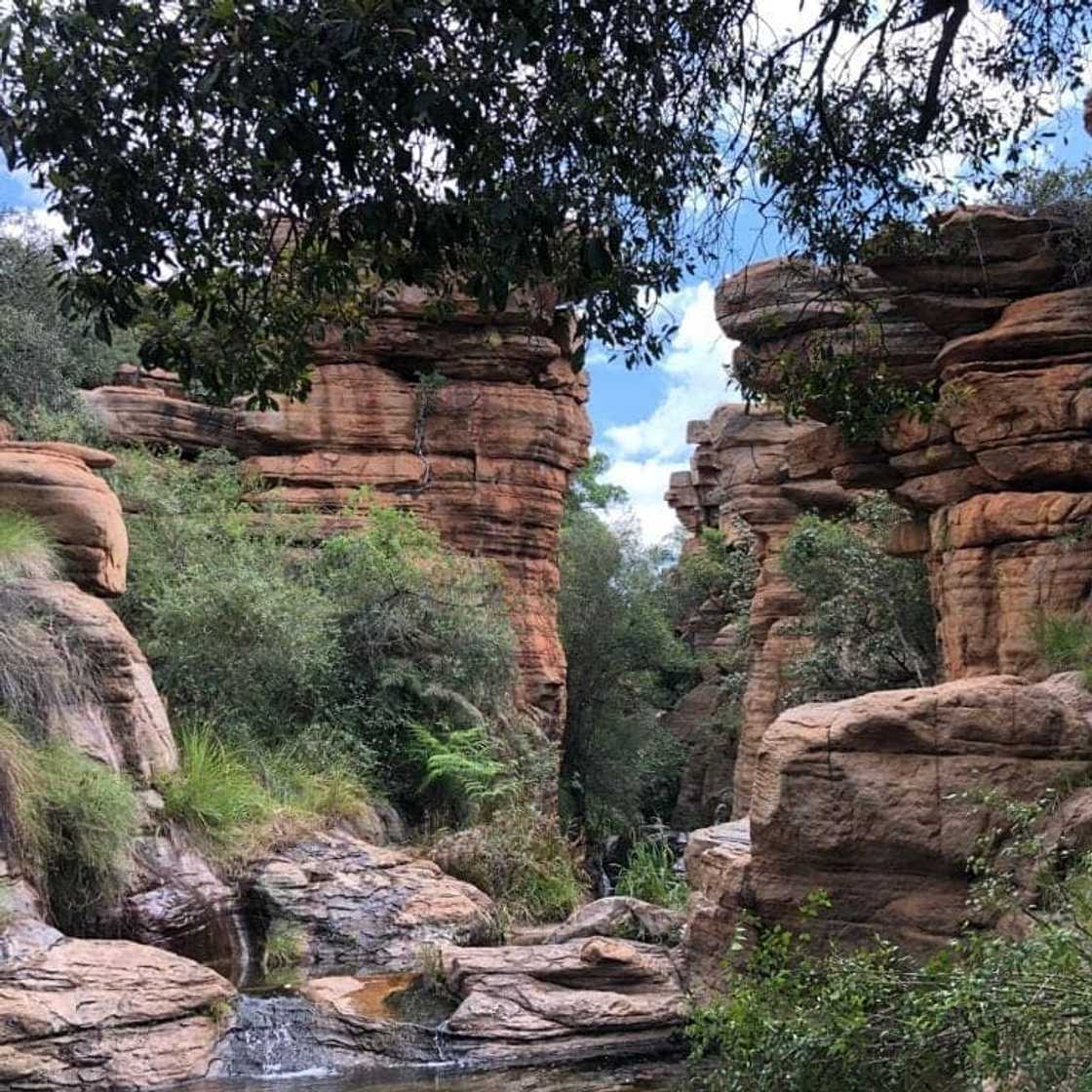 camping in gauteng camping in gauteng