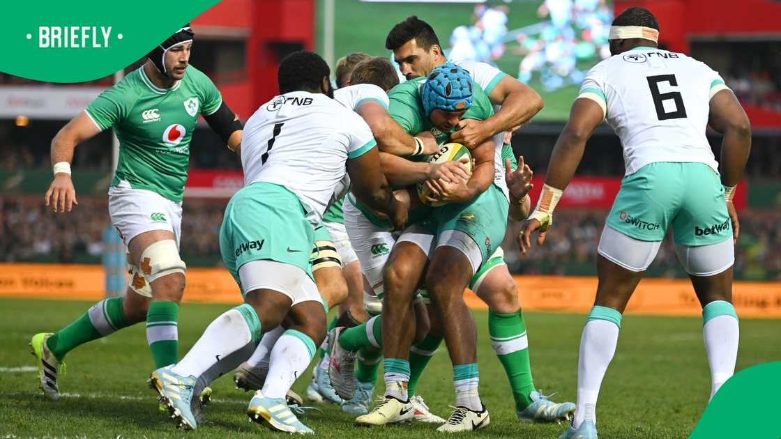 Ox Nche, Springboks, South Africa, Frans Malherbe Ox Nche, Springboks, South Africa, Frans Malherbe