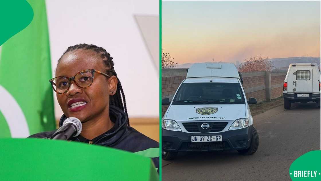 Tshwane Mayor Nasiphi Moya said the city arrested more than 90 illegal immigrants in two informal settlements Tshwane Mayor Nasiphi Moya said the city arrested more than 90 illegal immigrants in two informal settlements