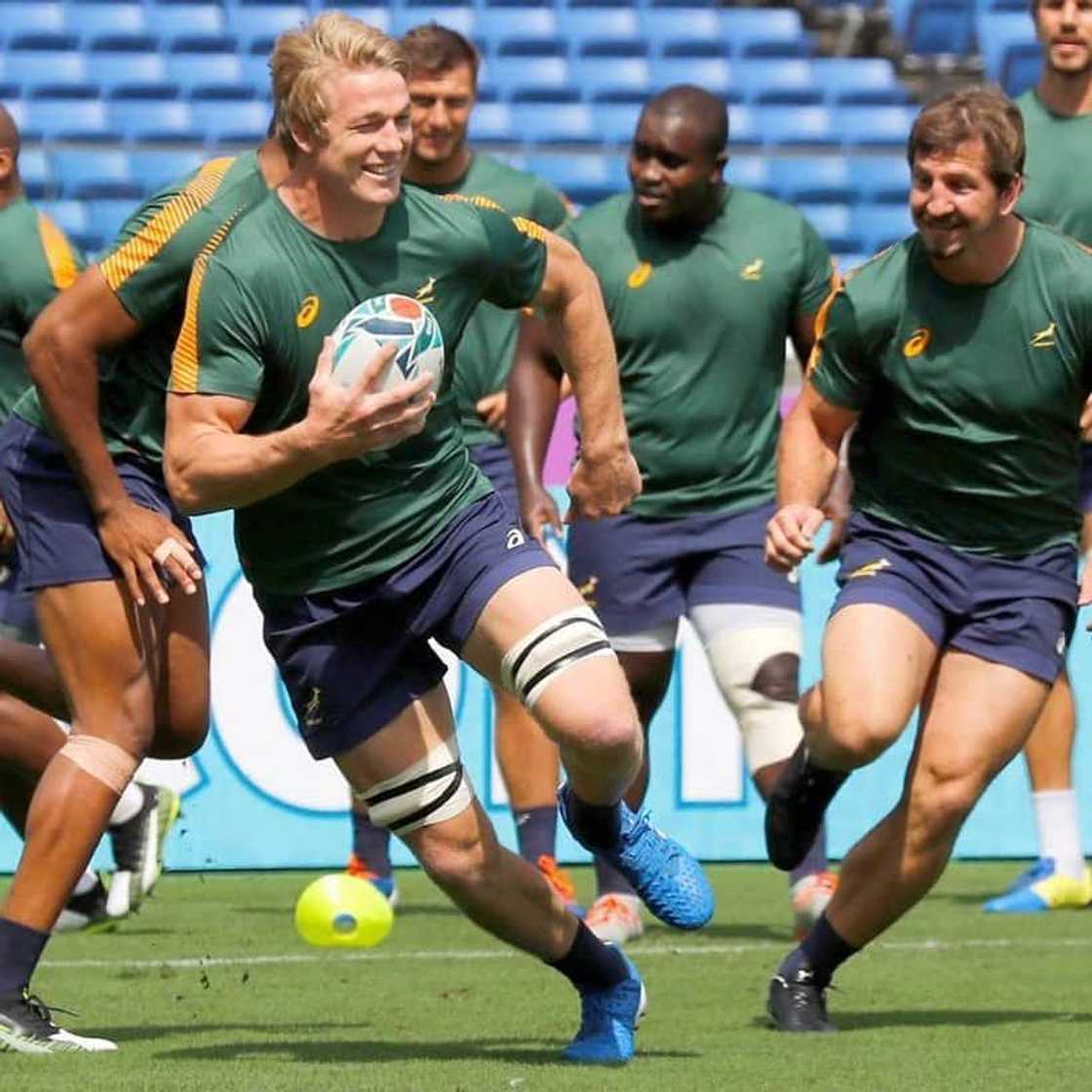 Pieter Steph Du Toit age, measurements, wife, siblings, parents, education, current team, position, stats, salary and Instagram Pieter Steph Du Toit age, measurements, wife, siblings, parents, education, current team, position, stats, salary and Instagram