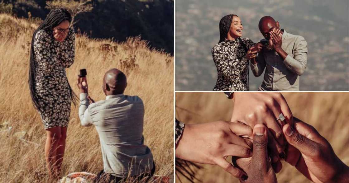 Liesl Laurie, Dr Musa, engagement, Twitter, reactions, local man, 6 months