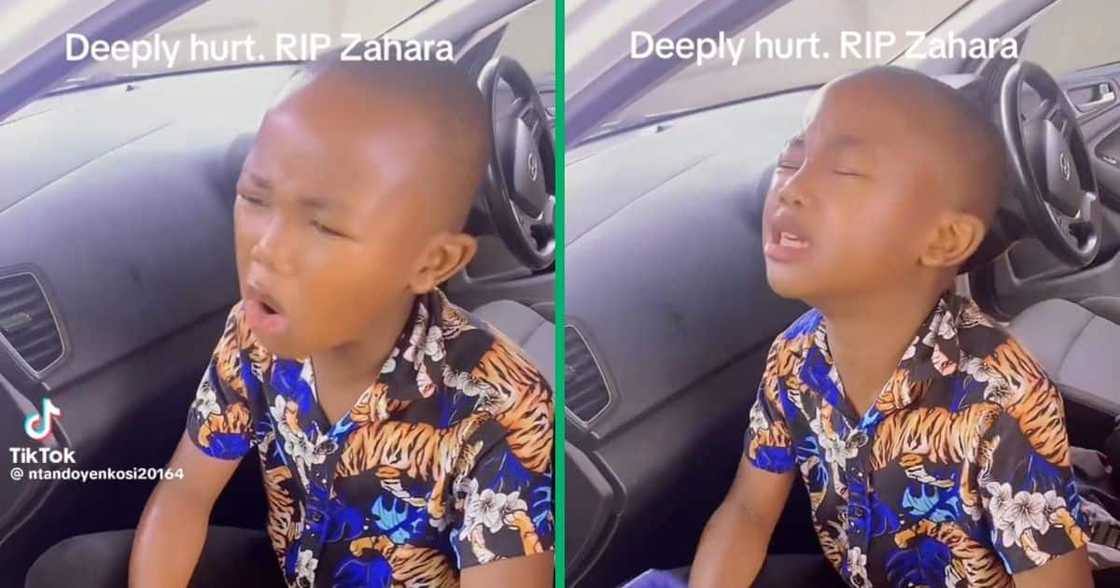 Little boy sang Zahara's song