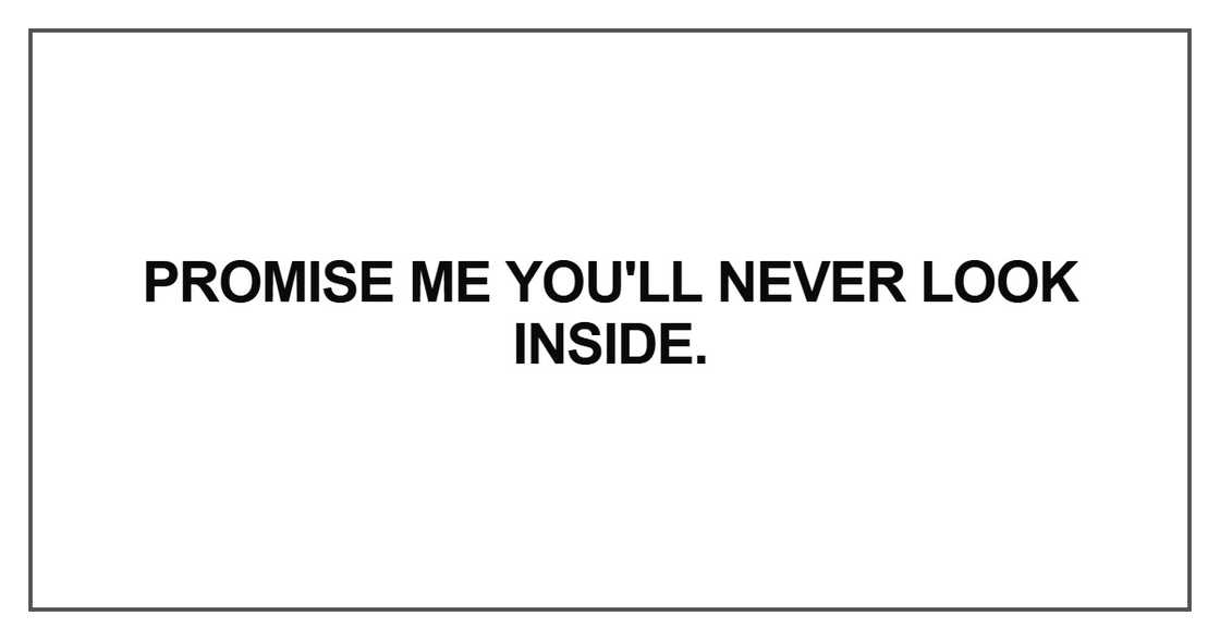 Promise me you'll never look insideq Promise me you'll never look insideq