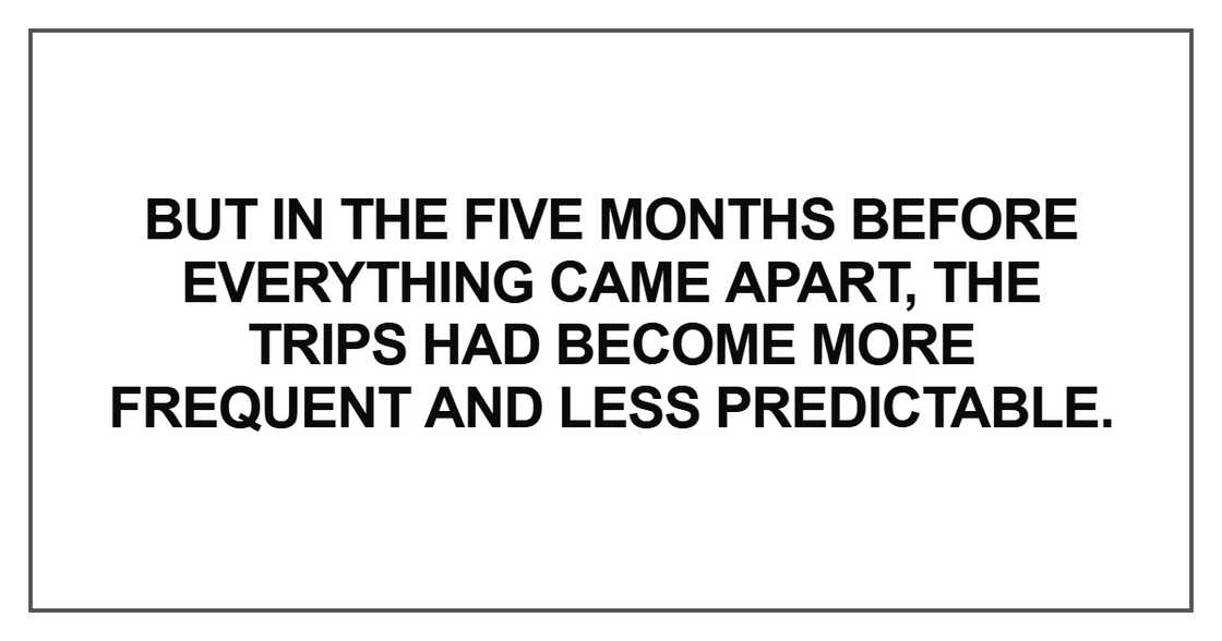 But in the five months before everything came apart