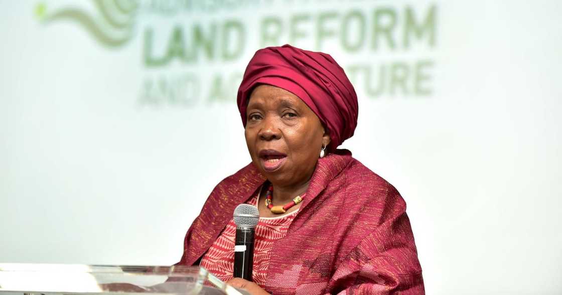 Local Elections, IEC, ANC, Politics, Constitutional Court Local Elections, IEC, ANC, Politics, Constitutional Court