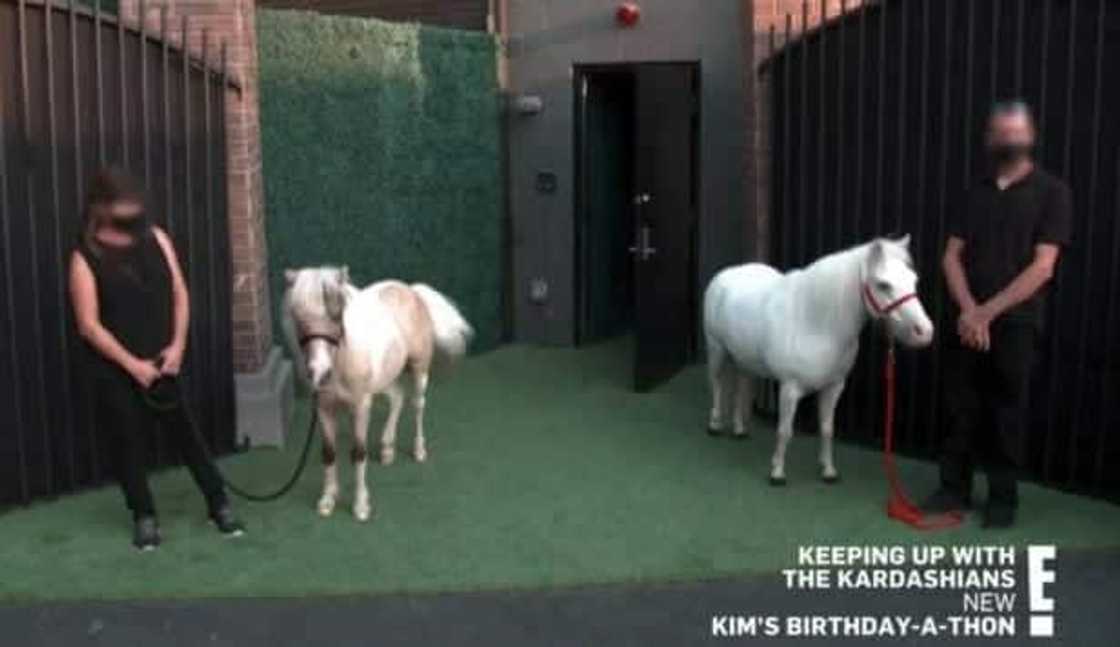 Kim Kardashian’s family members surprise her with birthday bash (photos) Kim Kardashian’s family members surprise her with birthday bash (photos)