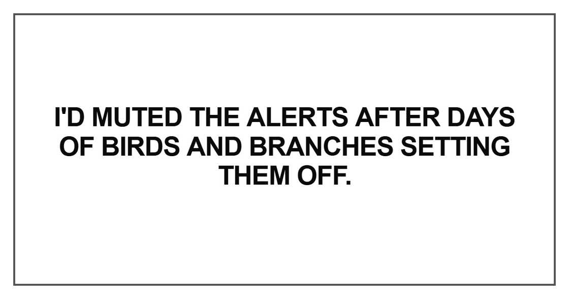 I'd muted the alerts after days