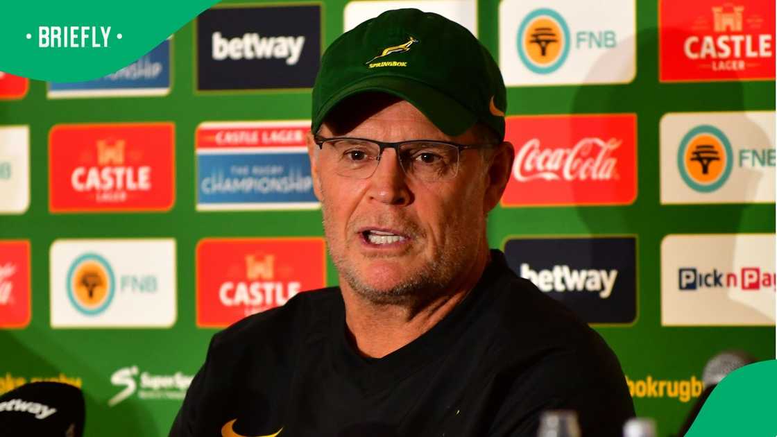 Springboks, Rassie Erasmus, All Blacks Springboks, Rassie Erasmus, All Blacks