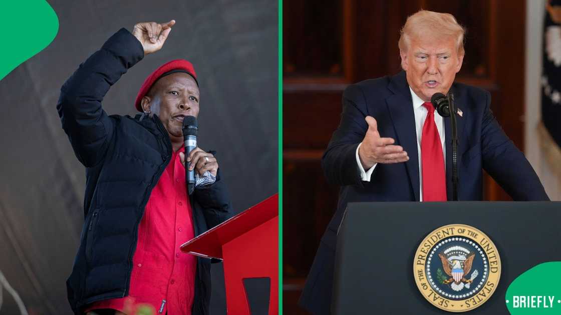 Malema said that the US does not want leaders who speak for Africa and that they do not want stability Malema said that the US does not want leaders who speak for Africa and that they do not want stability