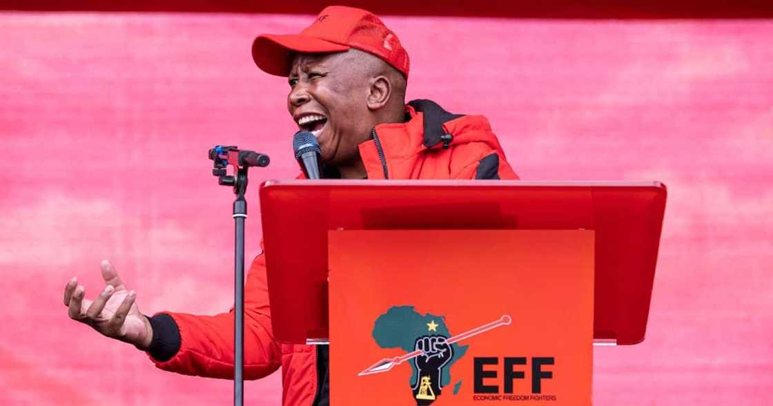 EFF Leader Julius Malema EFF Leader Julius Malema