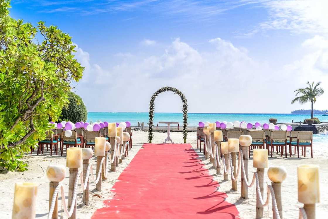 budget wedding venues in Cape Town budget wedding venues in Cape Town