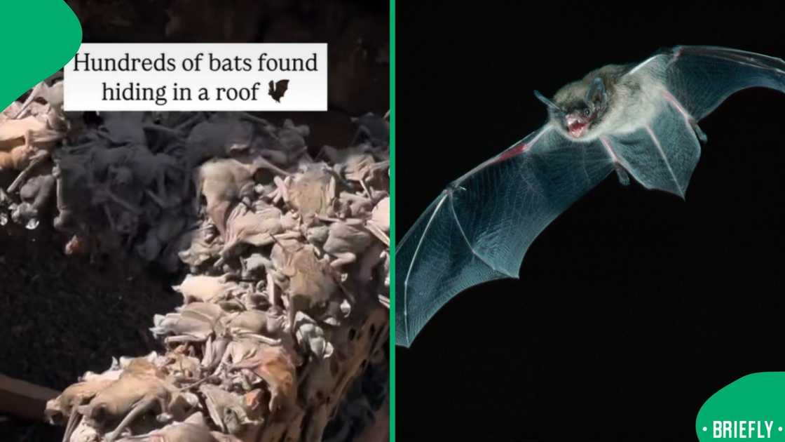 A post went viral. A post went viral.