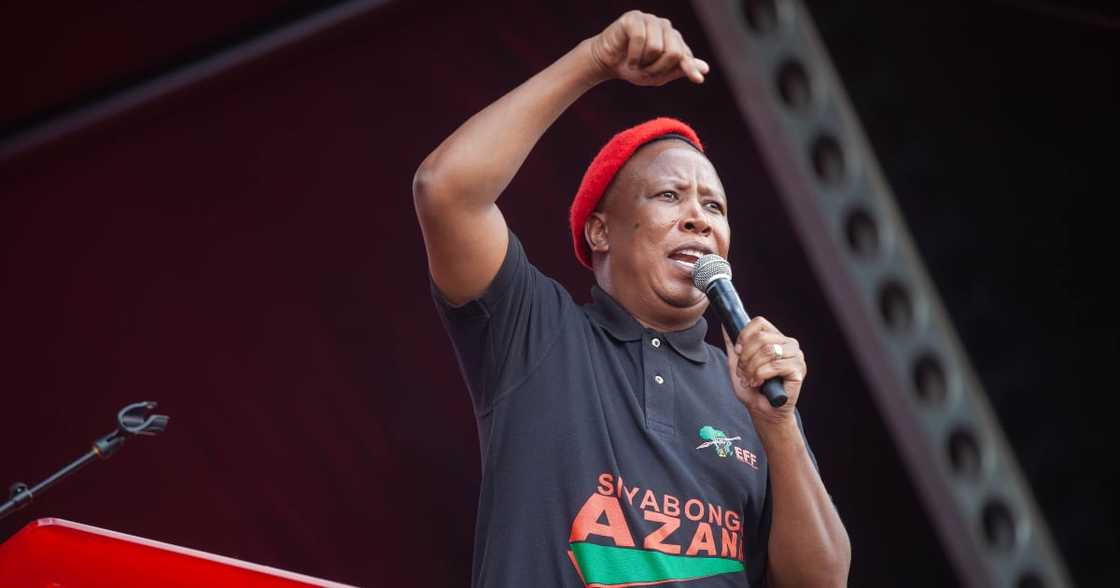 Julius Malema, EFF, ANC, Gauteng metros, EFF presser Julius Malema, EFF, ANC, Gauteng metros, EFF presser