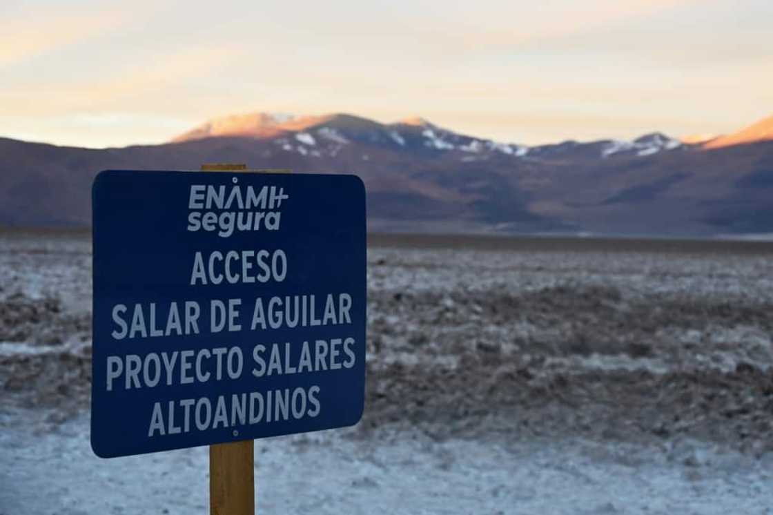 Between the Aguilar, La Isla and Grande salt flats in the Altoandinos region of the desert, Enami hopes to be able to mine 60,000 tons of lithium annually