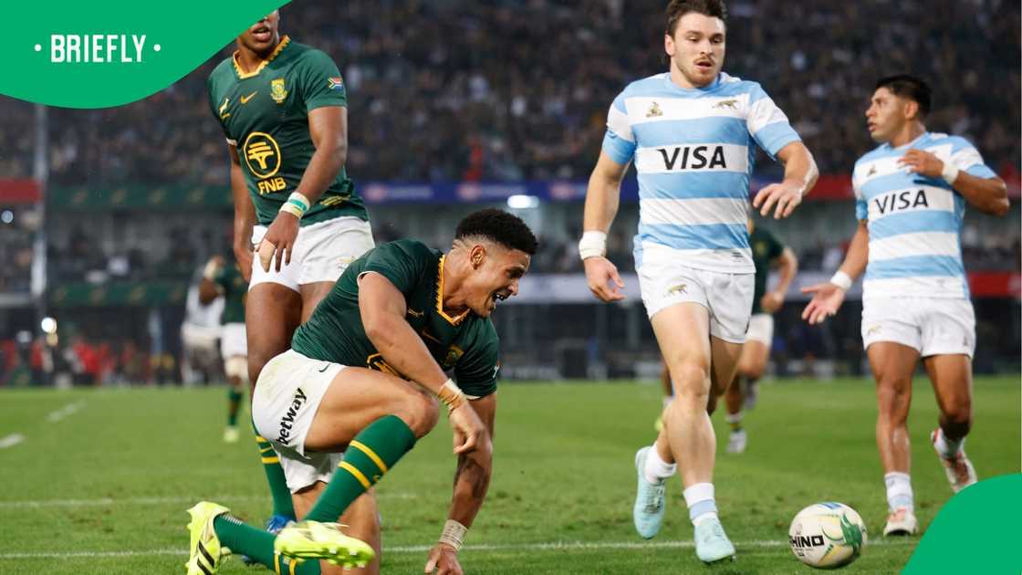 Springboks, South Africa, Rugby Championship