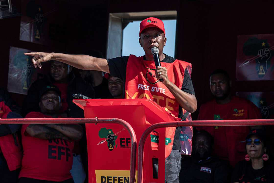 Julius Malema is a permanent member of the Ad Hoc Committee to investigate Mkhwanazi's claims