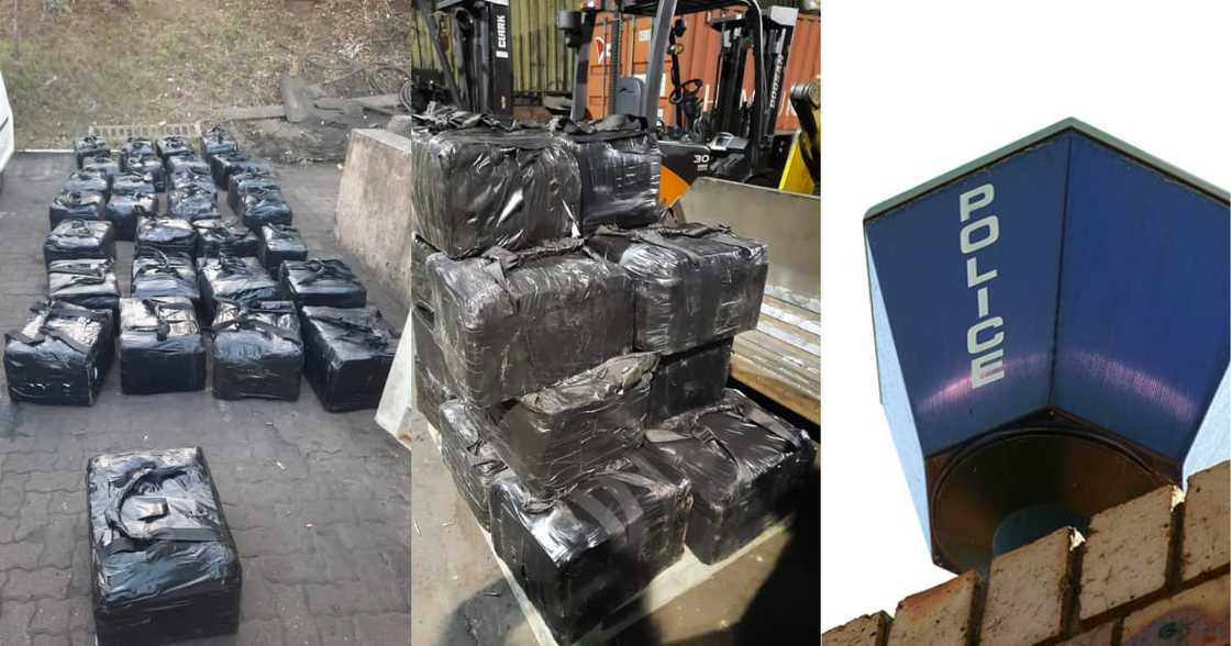 Cops, R500m, bust, Durban Harbour, 999 Cocaine Bricks Cops, R500m, bust, Durban Harbour, 999 Cocaine Bricks