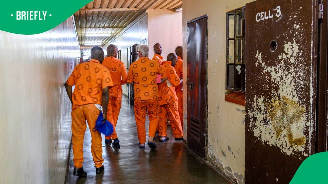 The DCS stated that the individuals shown in the videos and pictures are actors in costume The DCS stated that the individuals shown in the videos and pictures are actors in costume