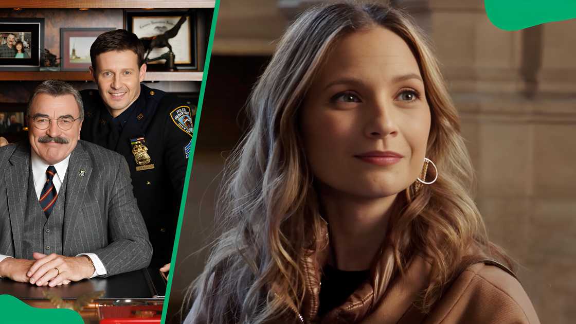 Blue Bloods cast Blue Bloods cast