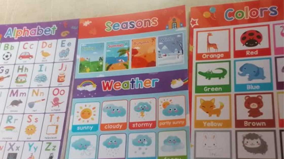 Woman used Temu to find educational materials