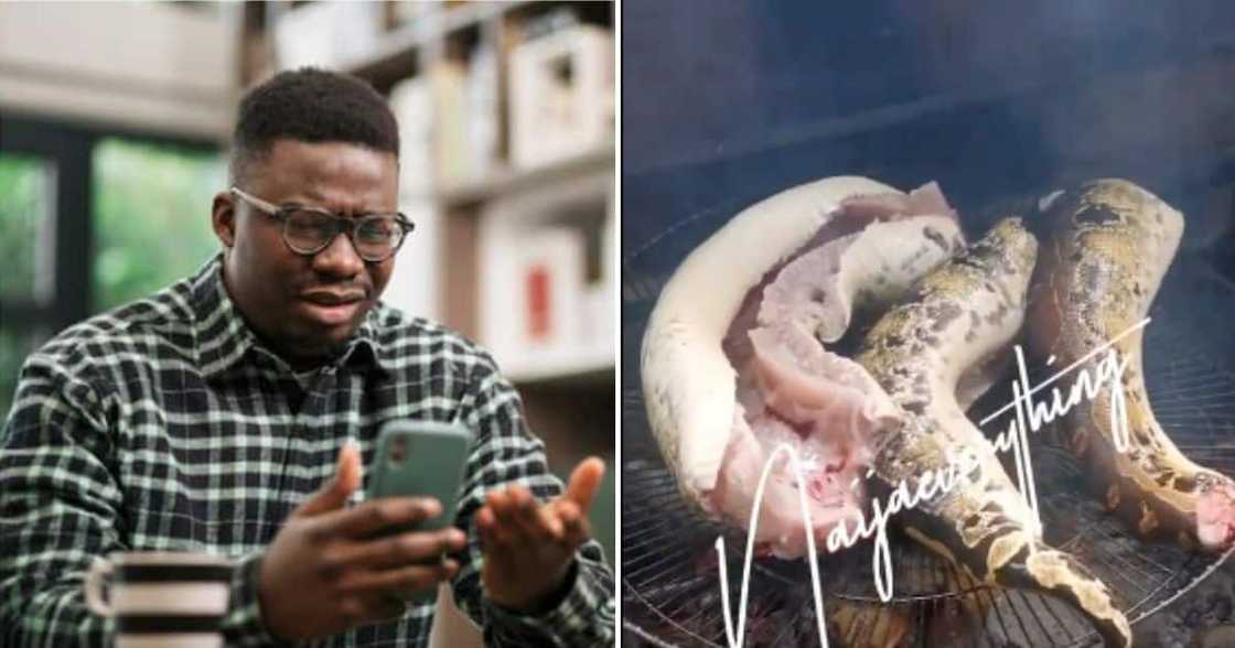 People react to dead snake moving People react to dead snake moving