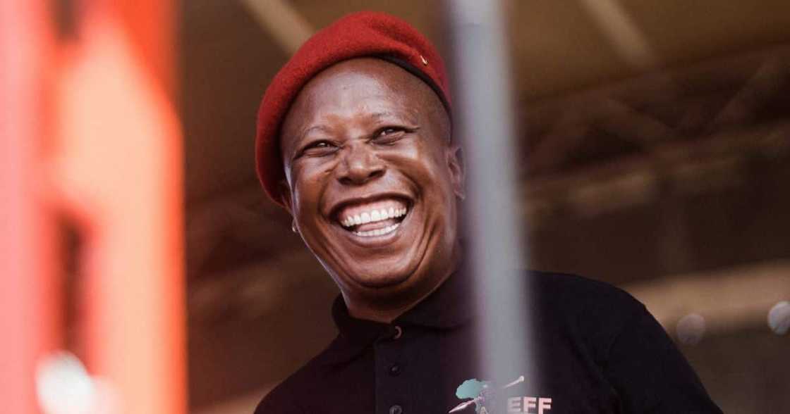 AfriForum, EFF, investigated, perjury, Julius Malema, R500k, court, "kill the Boer" AfriForum, EFF, investigated, perjury, Julius Malema, R500k, court, "kill the Boer"