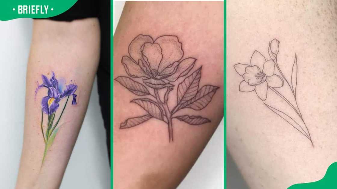 The iris (L), Magnolia (C) and Narcissus (R)flower tattoos The iris (L), Magnolia (C) and Narcissus (R)flower tattoos