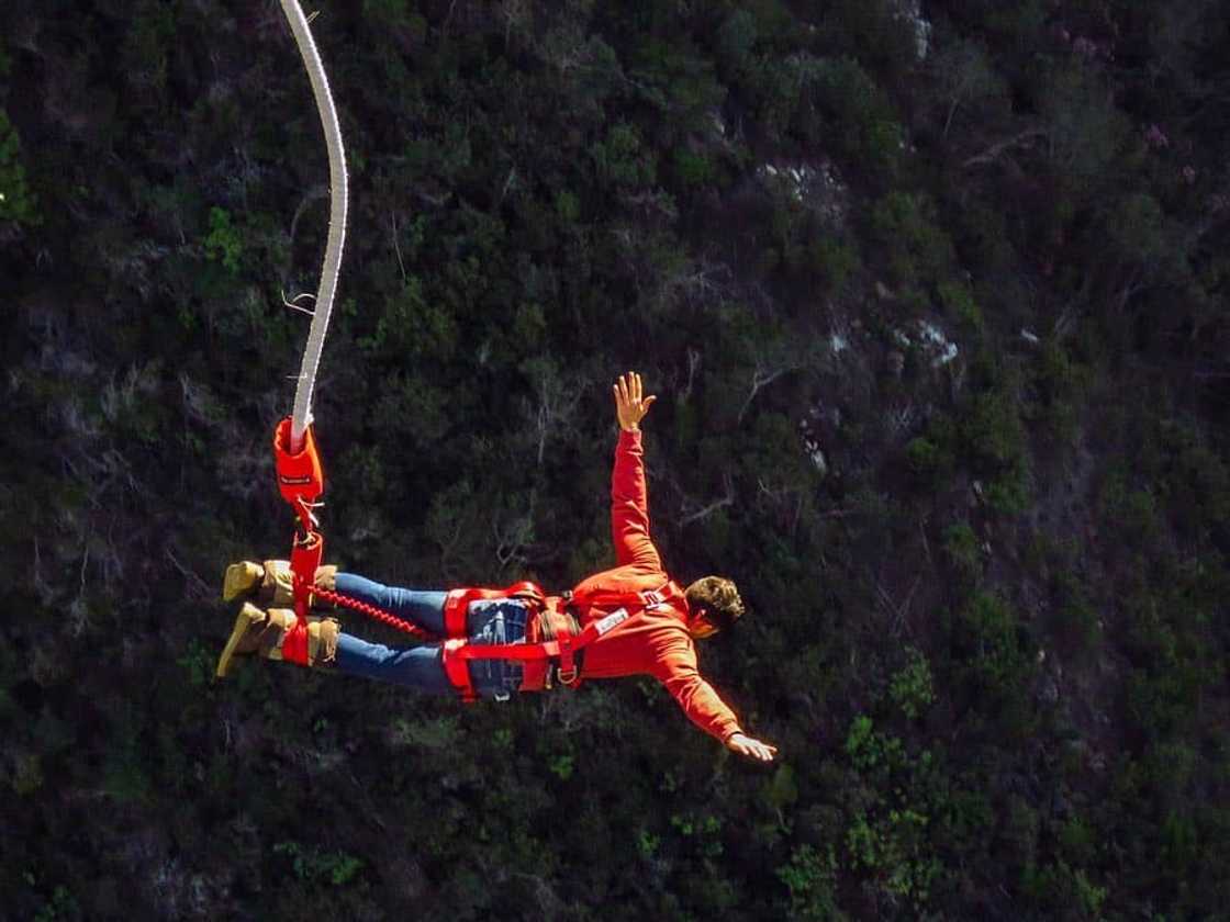15 popular things to do in Knysna 15 popular things to do in Knysna
