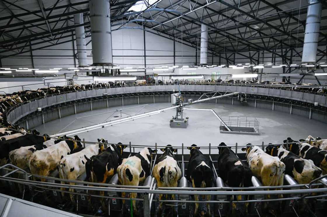 How to get rich in South Africa How to get rich in South Africa