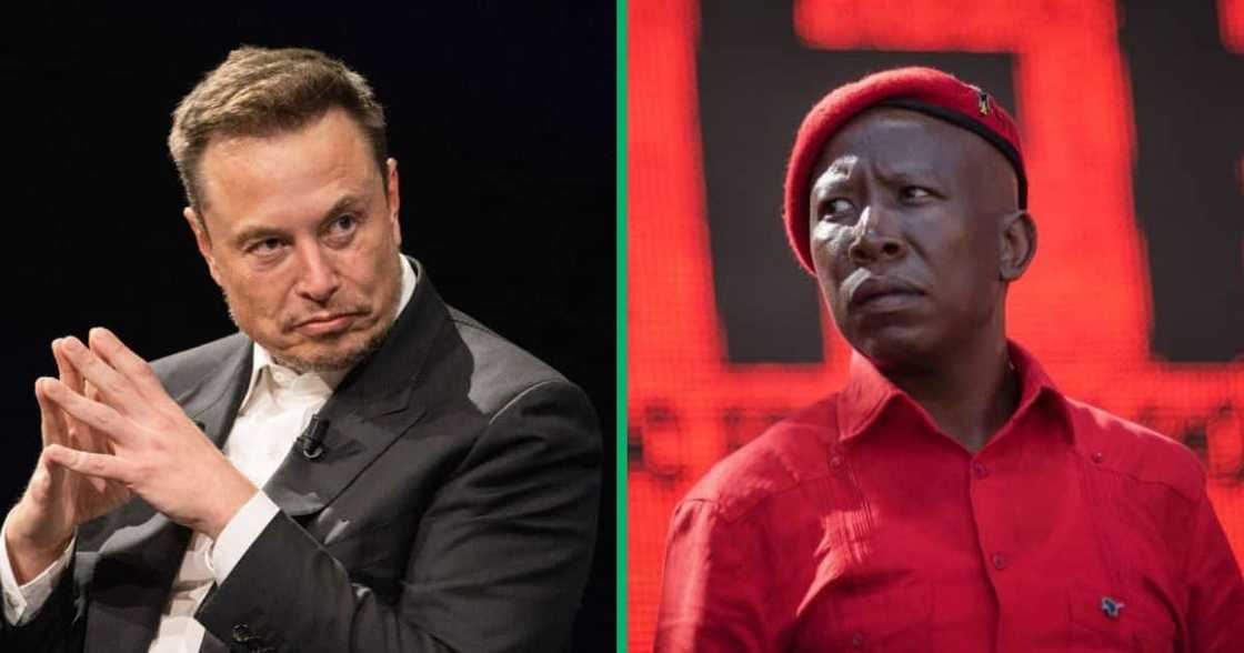 Julius Malema has advised Elon Musk to learn about struggle songs Julius Malema has advised Elon Musk to learn about struggle songs