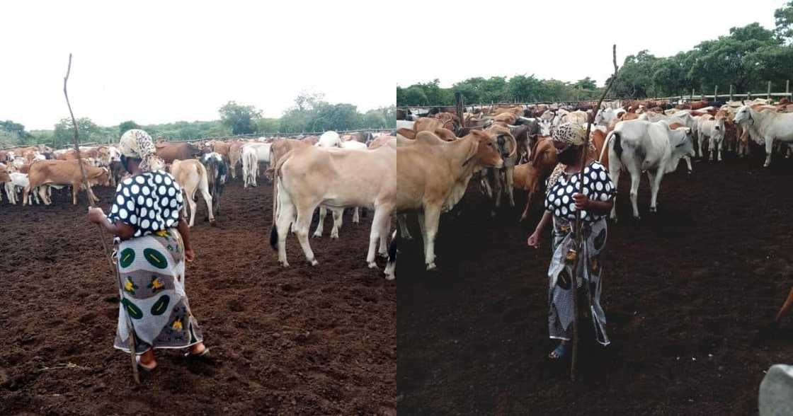 Daughter, celebrates, mom's success on farm Daughter, celebrates, mom's success on farm