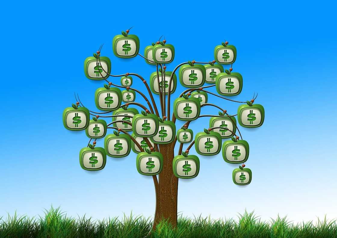 balloon payment balloon payment