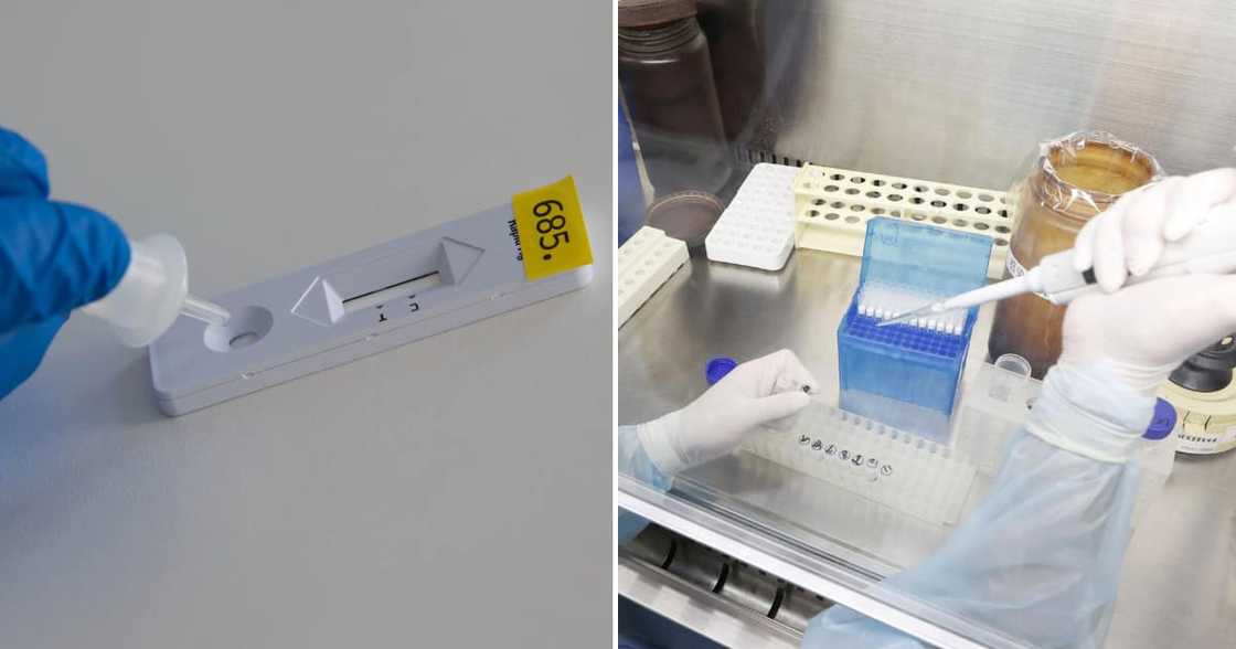 Covid19, South Africa, 31.1% positivity rate, new infections Covid19, South Africa, 31.1% positivity rate, new infections