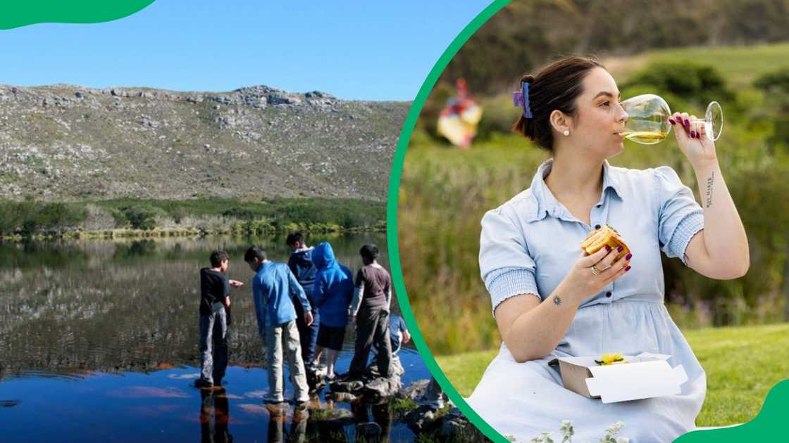 The best picnic spots in Cape Town are ideal for families and friends The best picnic spots in Cape Town are ideal for families and friends